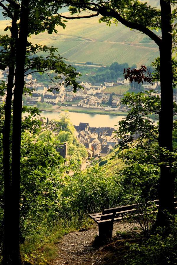 Mosel Panorama Apartment Цел ан дер Мозел Екстериор снимка