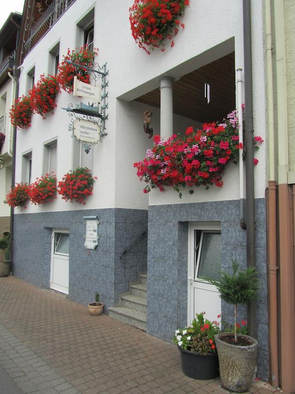 Mosel Panorama Apartment Цел ан дер Мозел Екстериор снимка