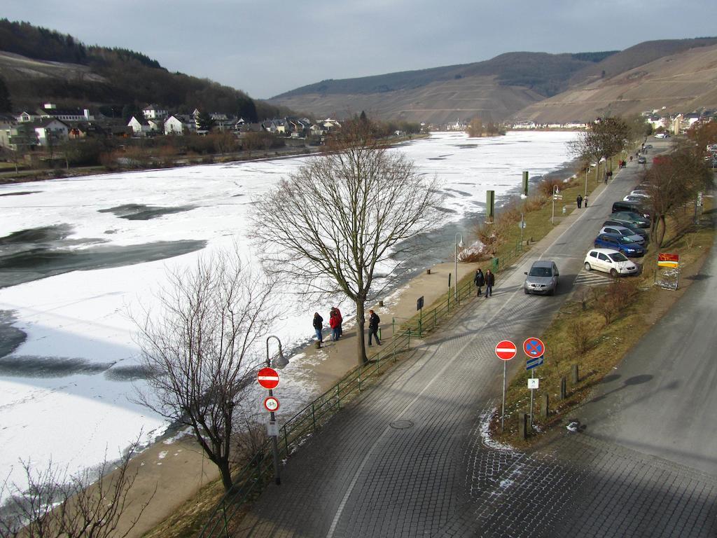 Mosel Panorama Apartment Цел ан дер Мозел Екстериор снимка