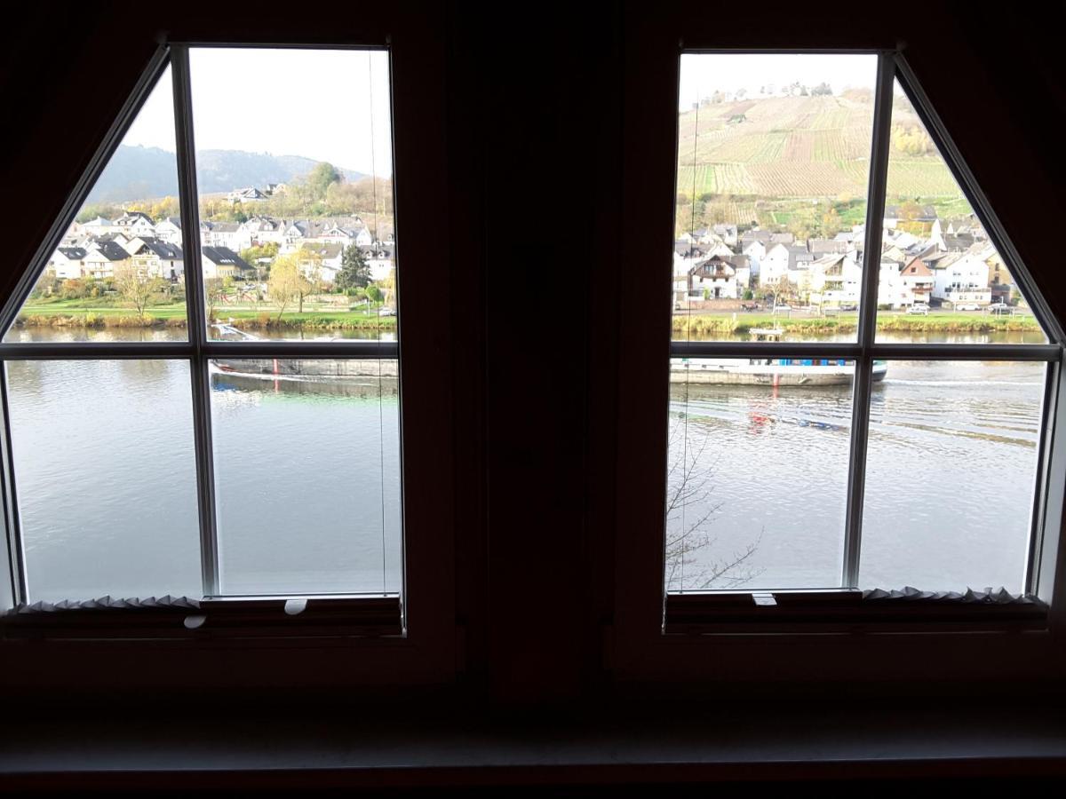 Mosel Panorama Apartment Цел ан дер Мозел Екстериор снимка